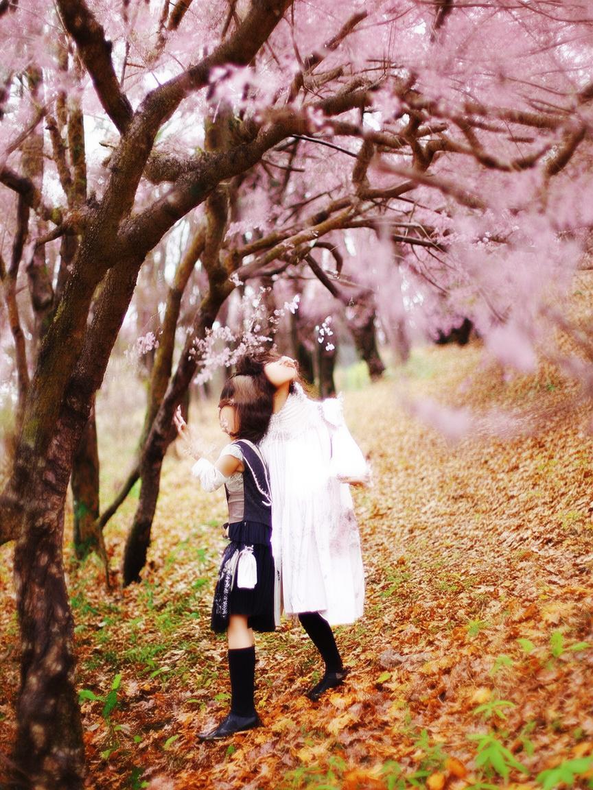 西瓜怎么还显示抖音粉丝_西瓜为何抖音粉丝同显？插图