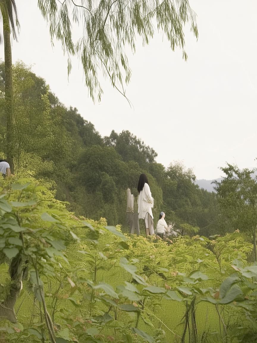 卡盟自助网站抖音_卡盟抖音关联？插图